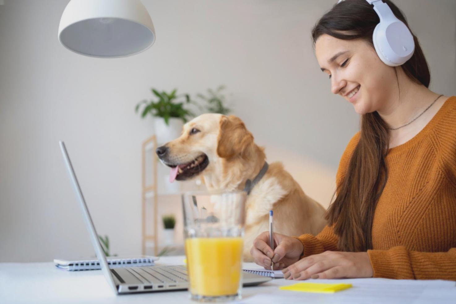 Analiza datelor financiare pe calculator cu grafice și rapoarte